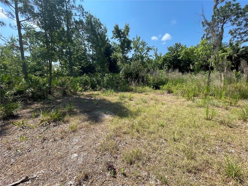 Atlas Drive Property Photo 18