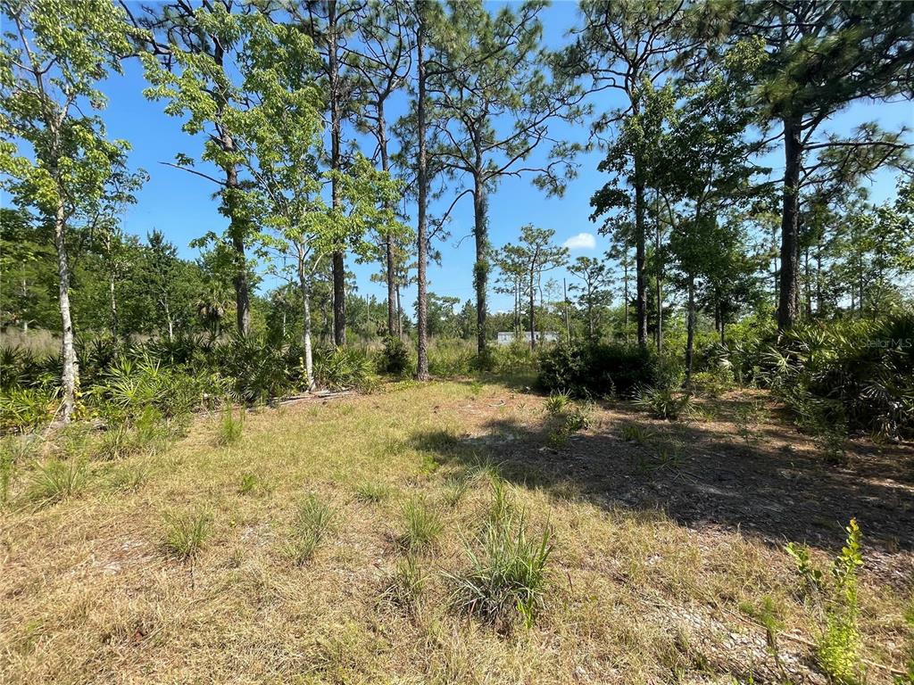 Atlas Drive Property Photo 19