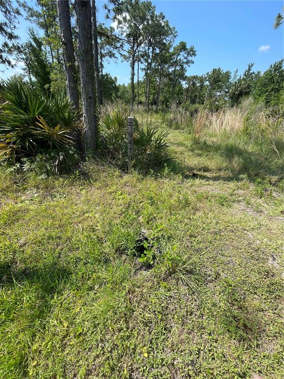 Atlas Drive Property Photo 21