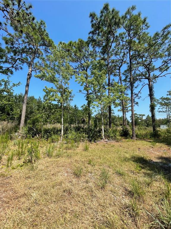 Atlas Drive Property Photo 23