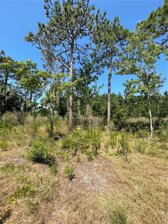 Atlas Drive Property Photo 24