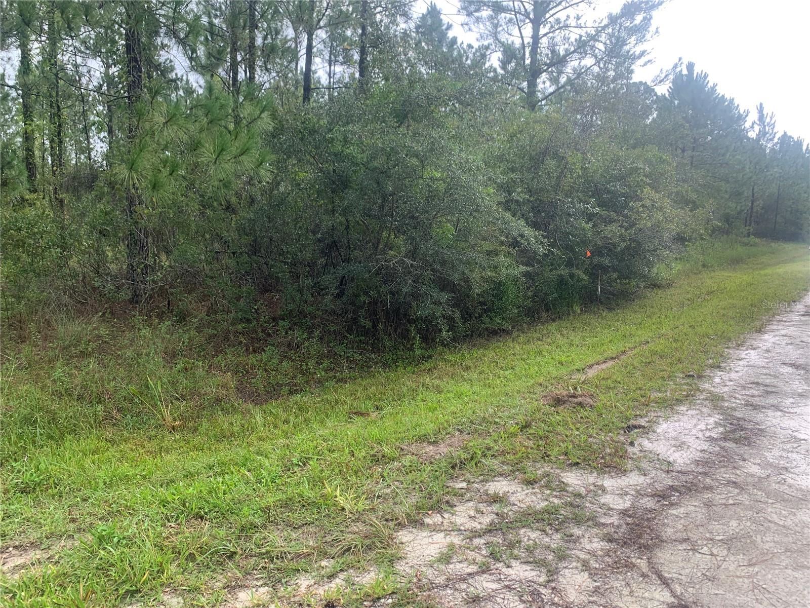 TBD OTTER DR #LOT 44 Property Photo 1