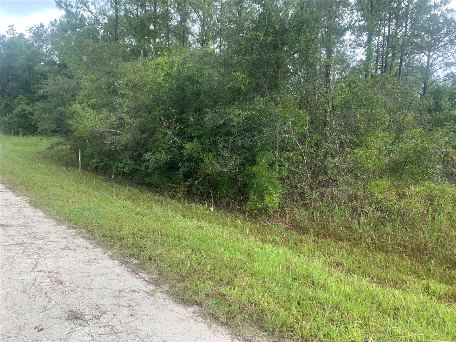 Tbd Otter Dr #lot 44 Property Photo 3