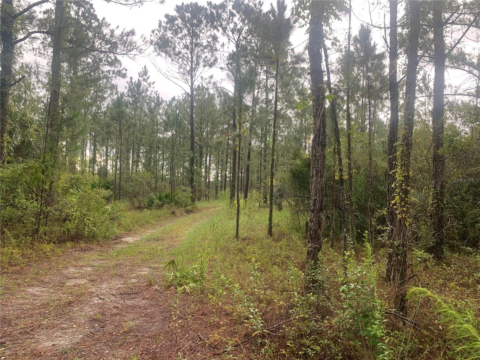 Tbd Otter Dr #lot 44 Property Photo 4