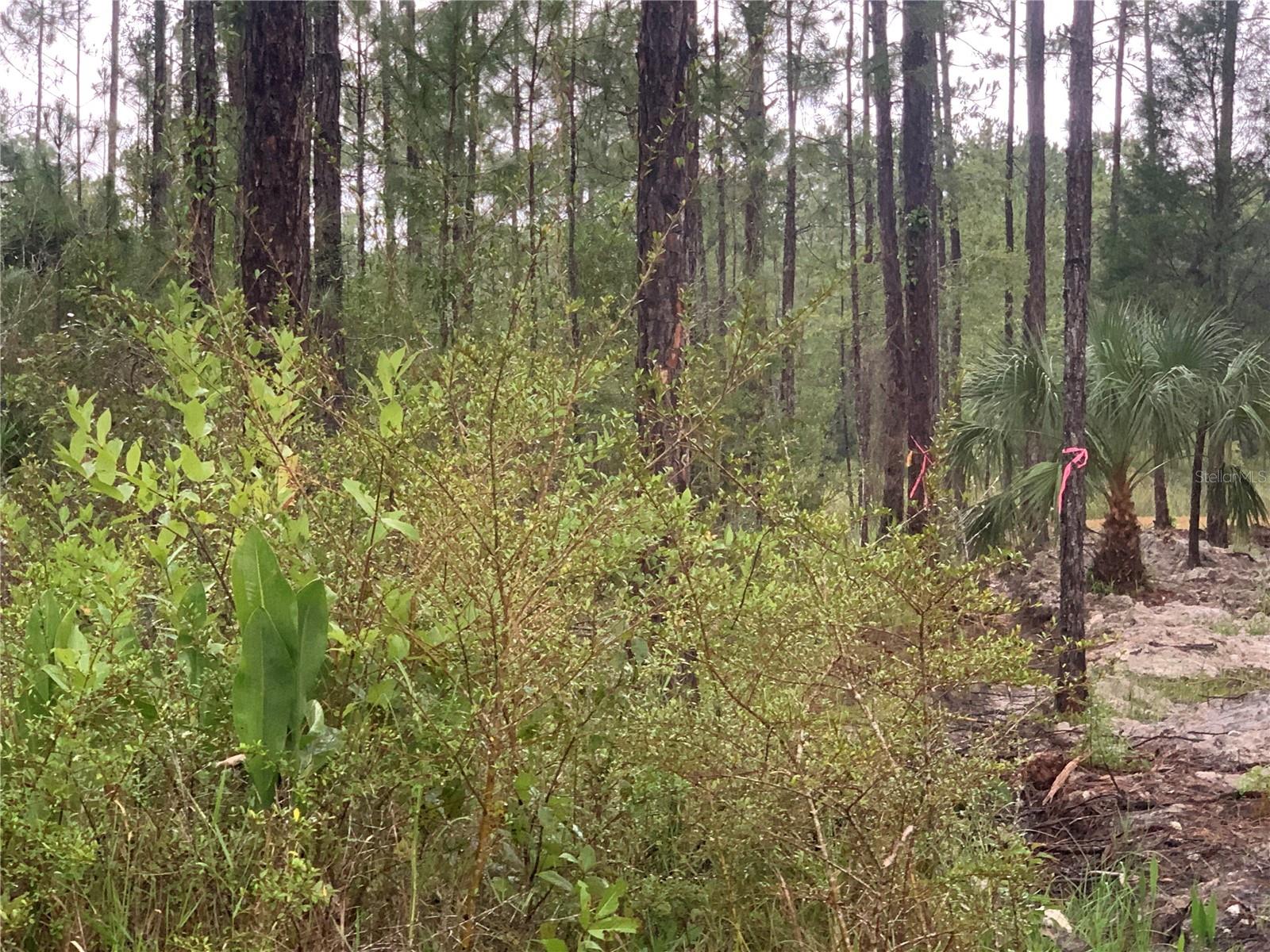 Tbd Otter Dr #lot 44 Property Photo 5