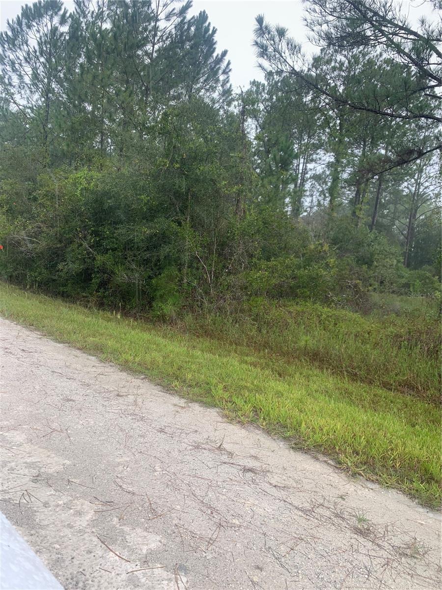 Tbd Otter Dr #lot 44 Property Photo 6