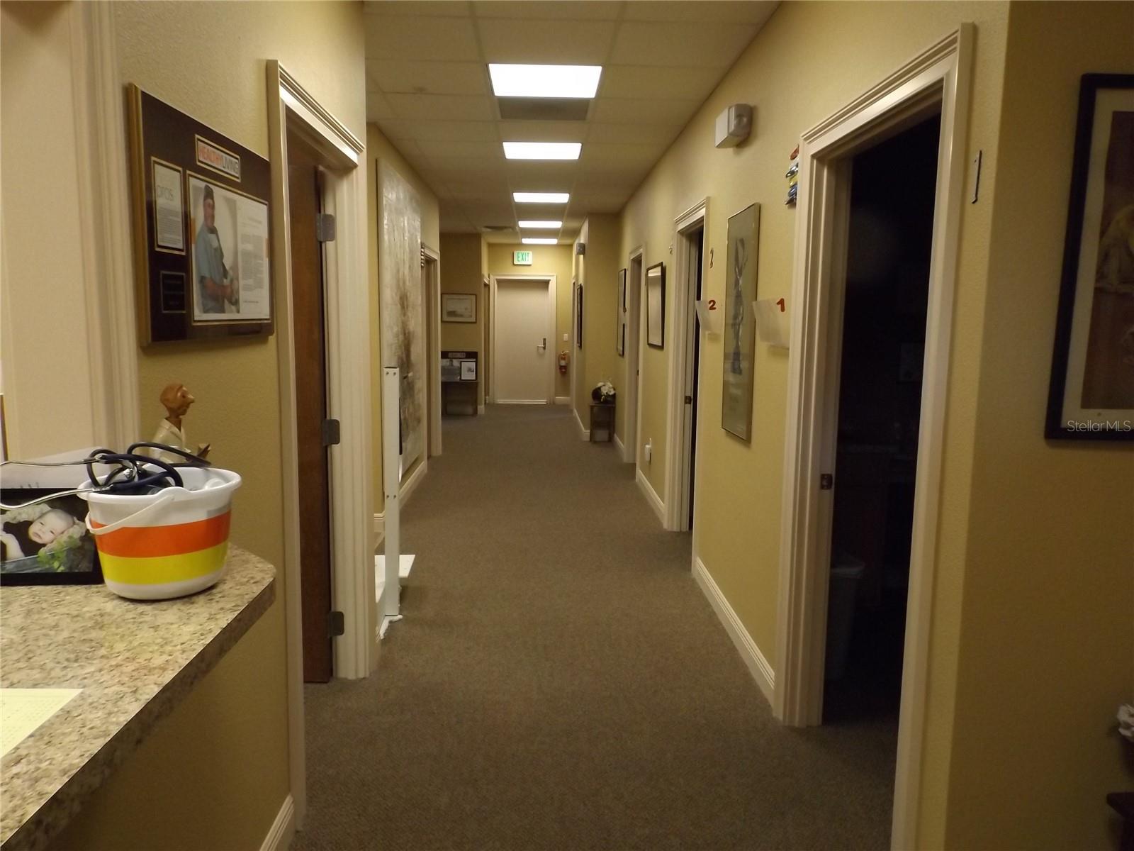 749 County Road 466 Property Photo 16