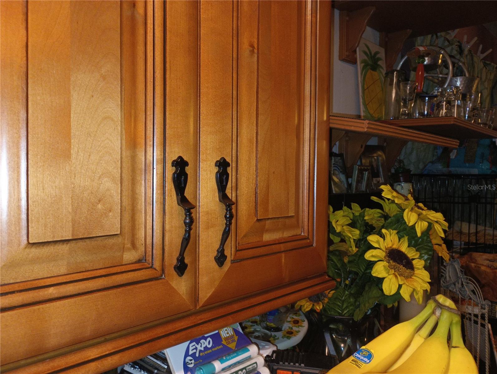 930 Pearl Drive Property Photo 4