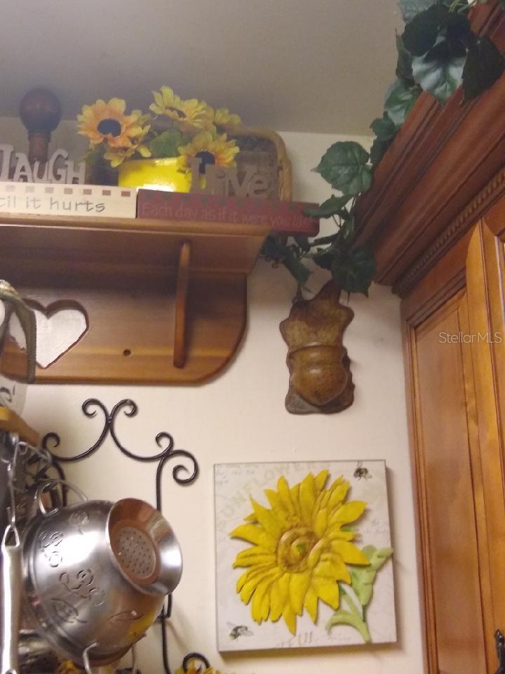 930 Pearl Drive Property Photo 11
