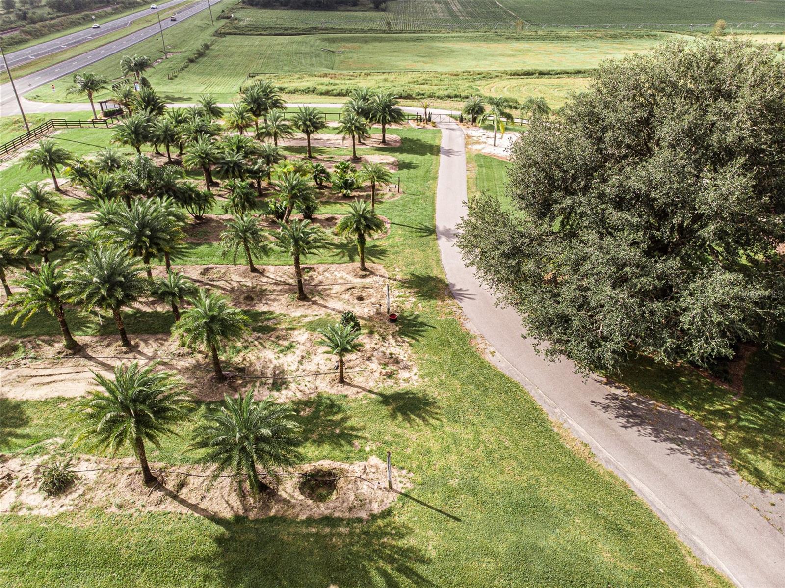 13494 N Us Hwy 301 Property Photo 8