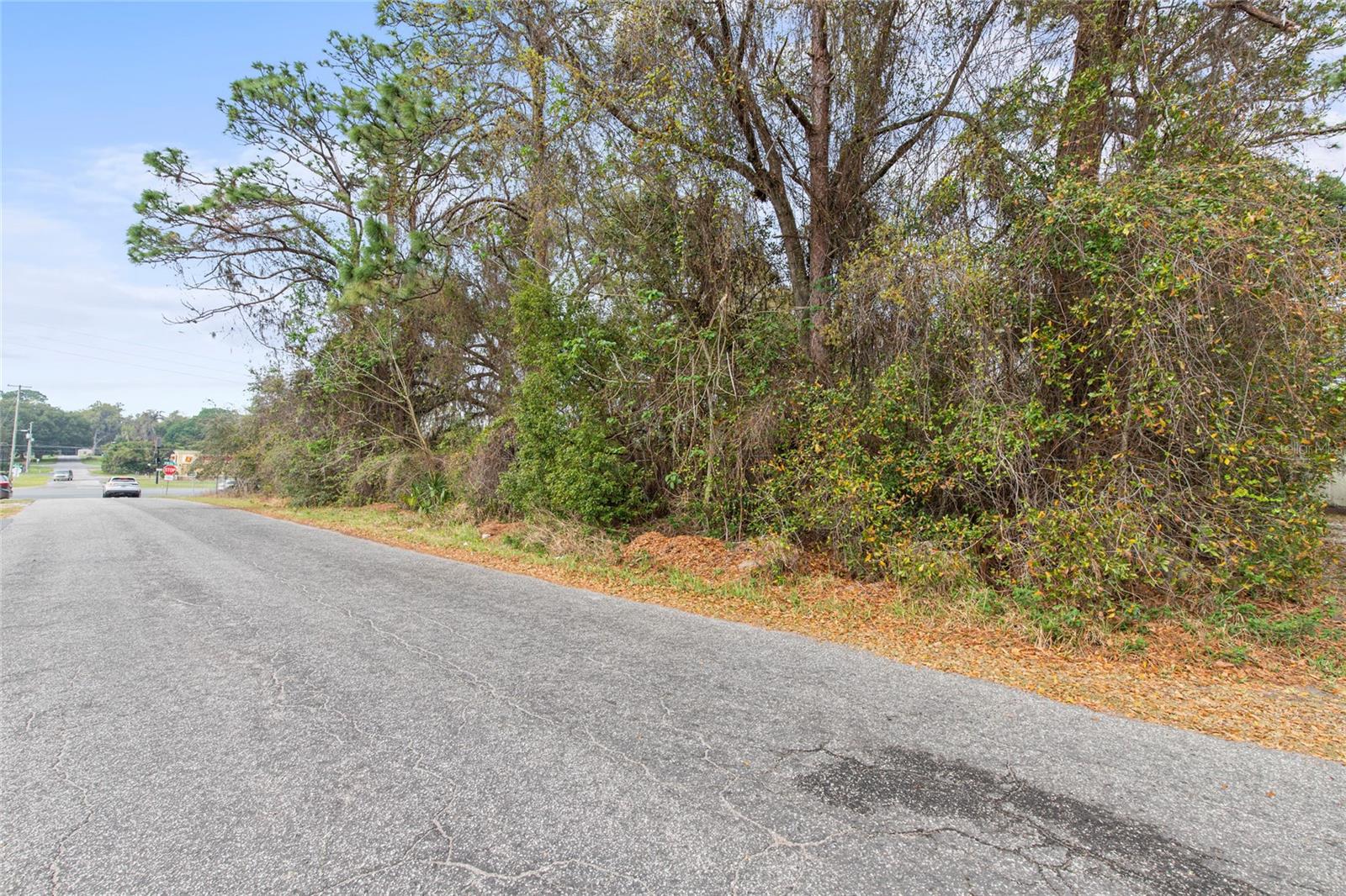 16725 S Us Highway 441 Property Photo 9