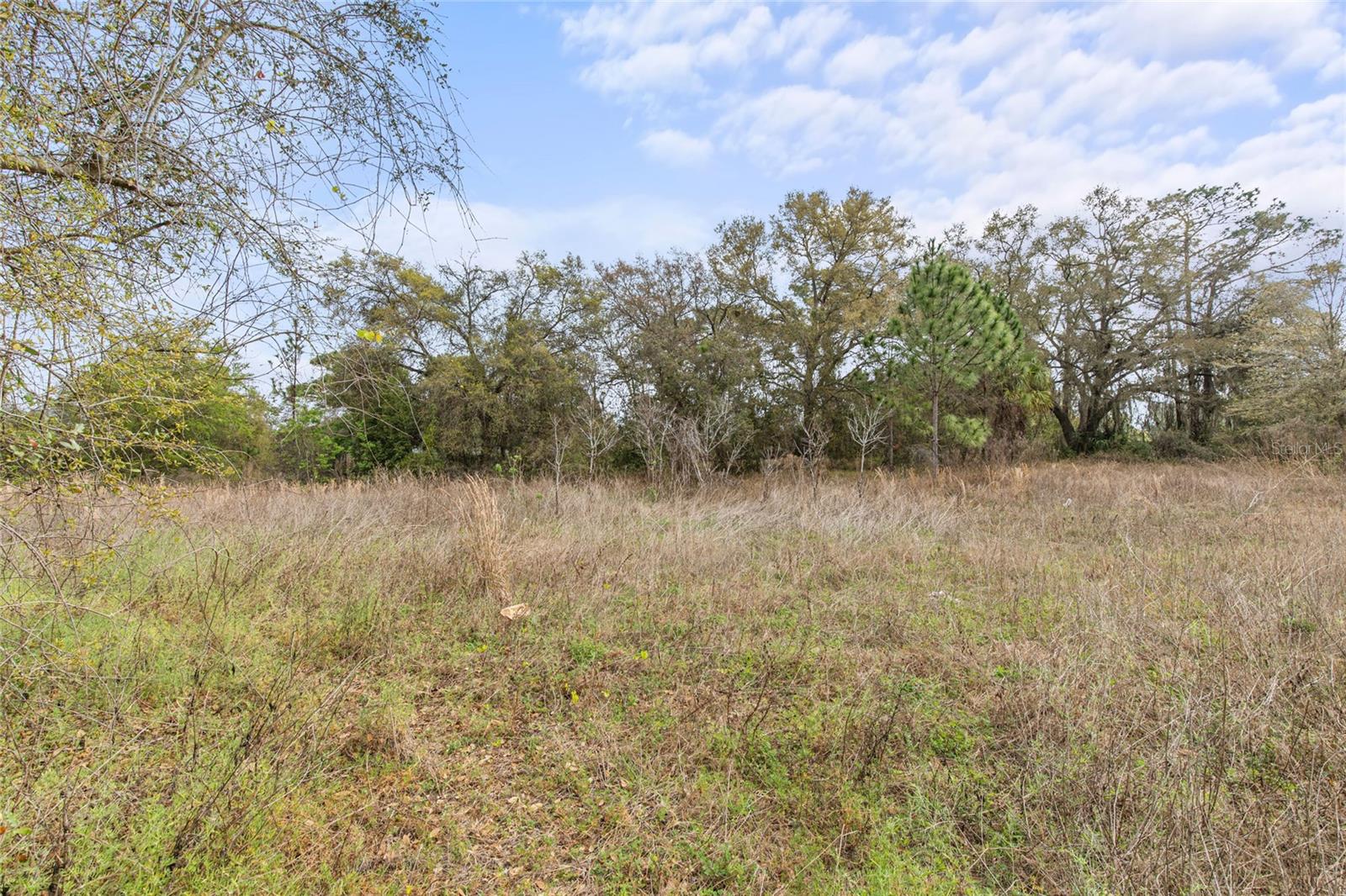 16725 S Us Highway 441 Property Photo 11
