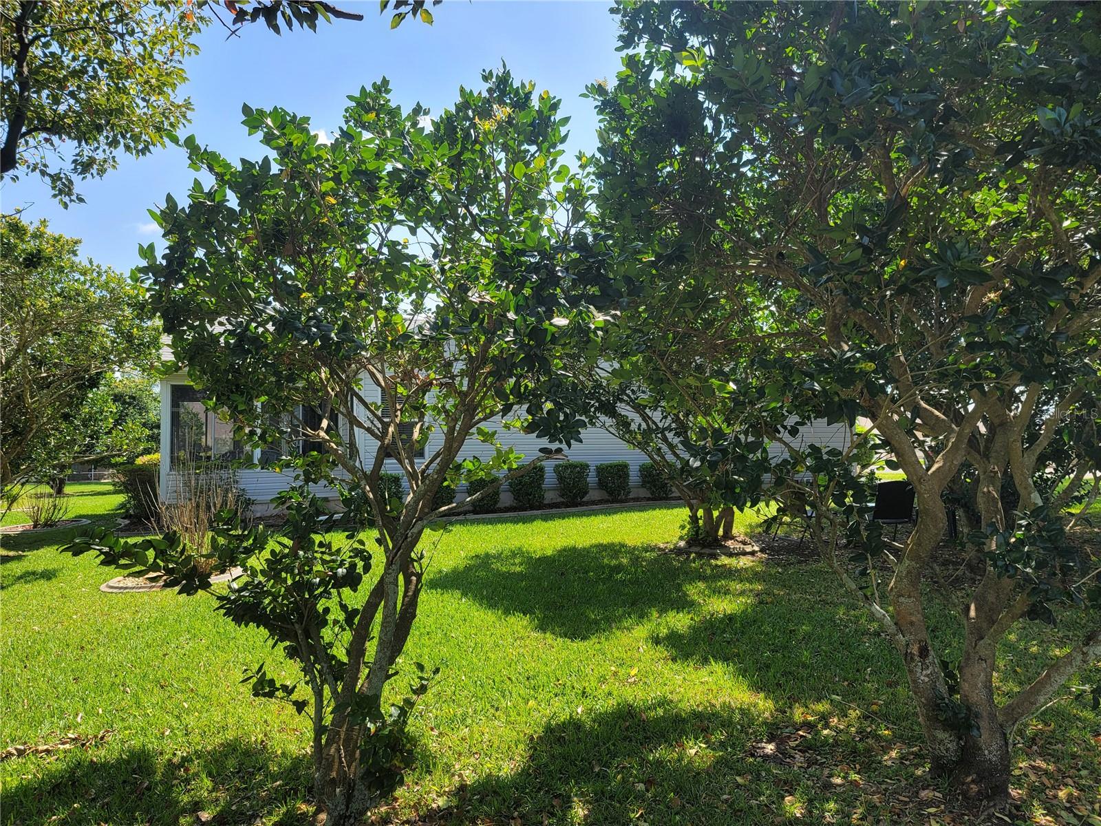 1317 Jimenez Court Property Photo 33