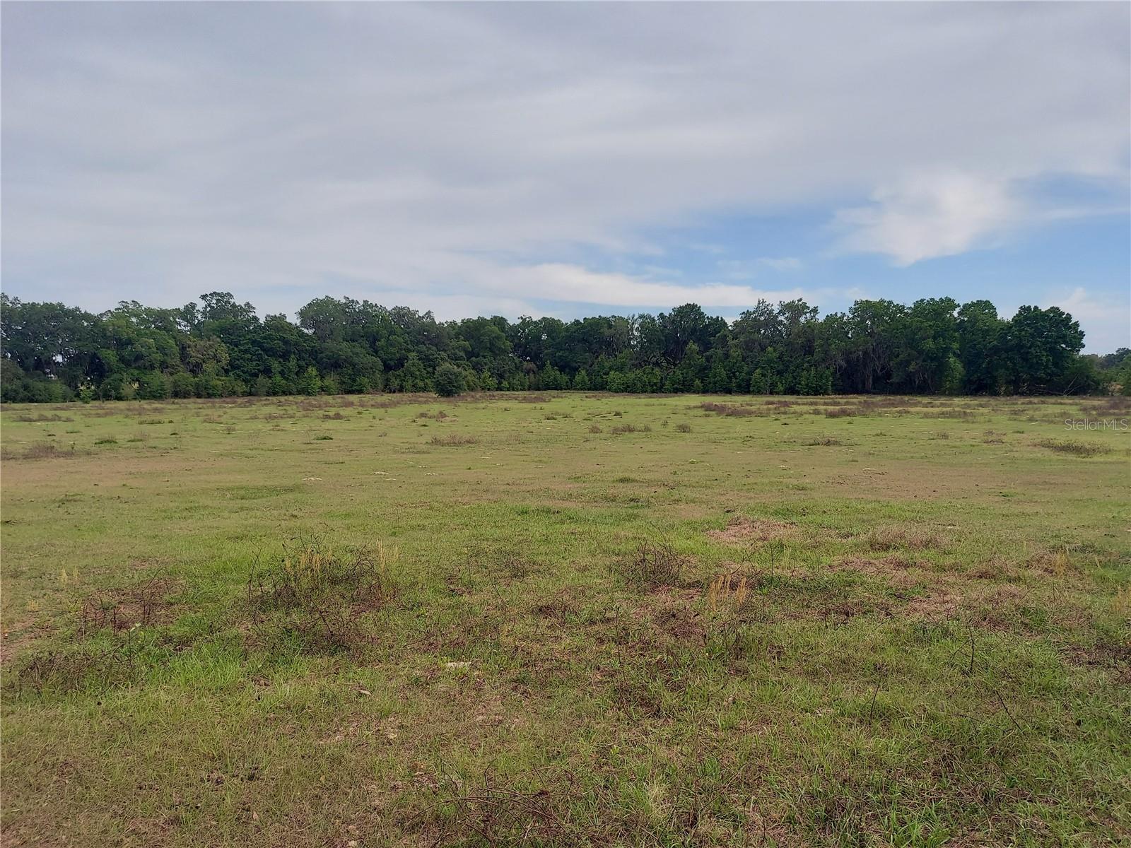11167 Ne 42nd Boulevard Property Photo 2