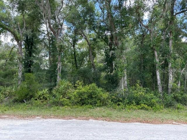6471 Otter Dr Property Photo 1