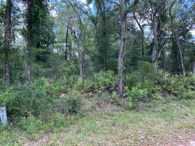 6471 Otter Dr Property Photo 2