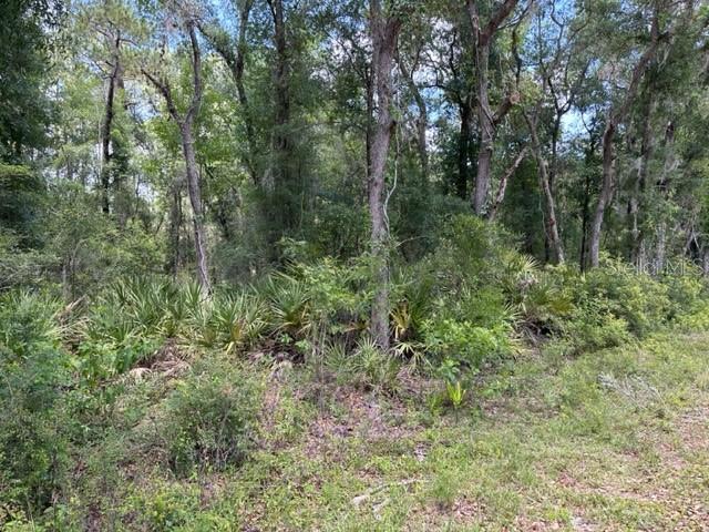 6471 Otter Dr Property Photo 3