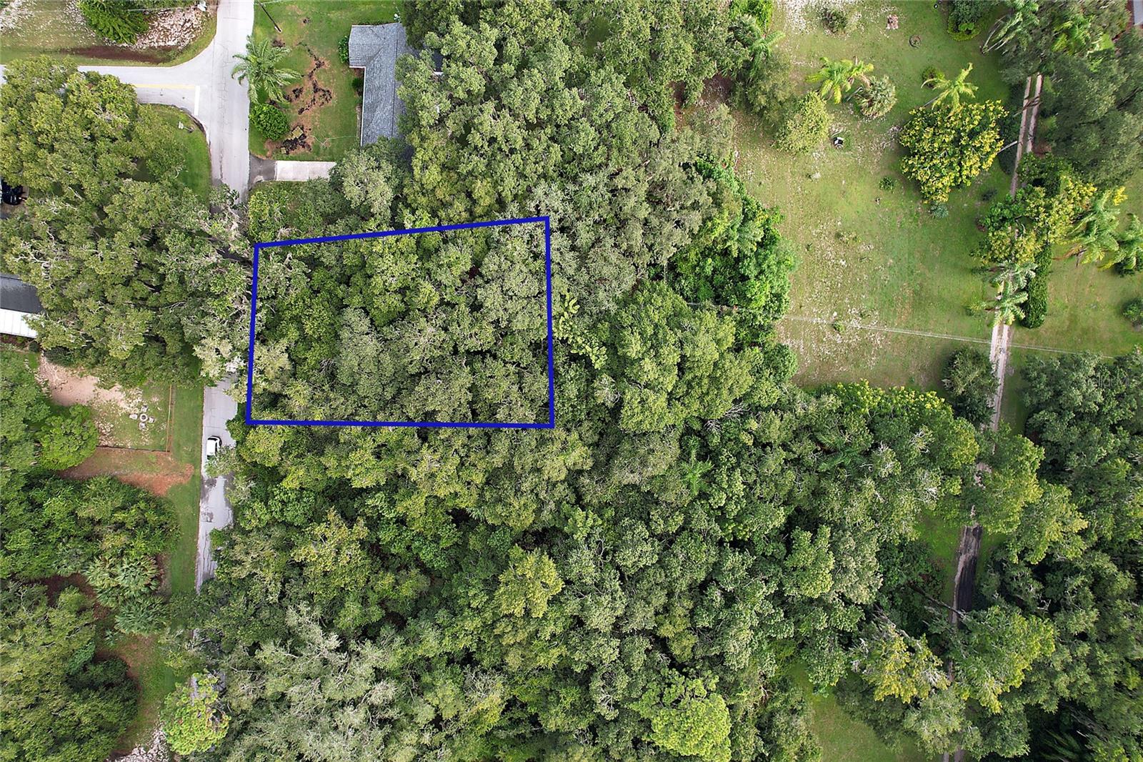 Orange Avenue Property Photo