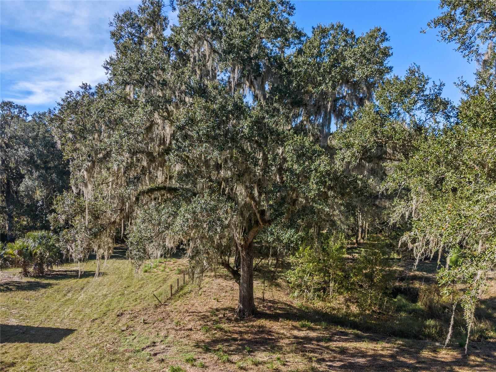 13524 Corkwood Ln Property Photo 31