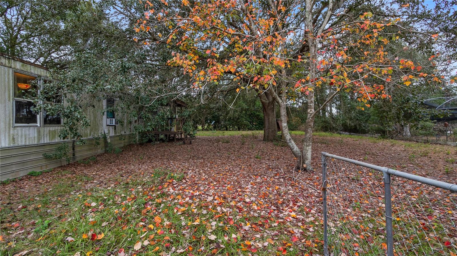 3907 Soto Rd Property Photo 5