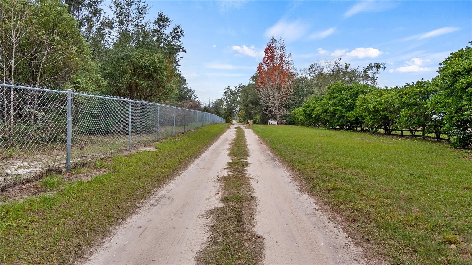 3907 Soto Rd Property Photo 10