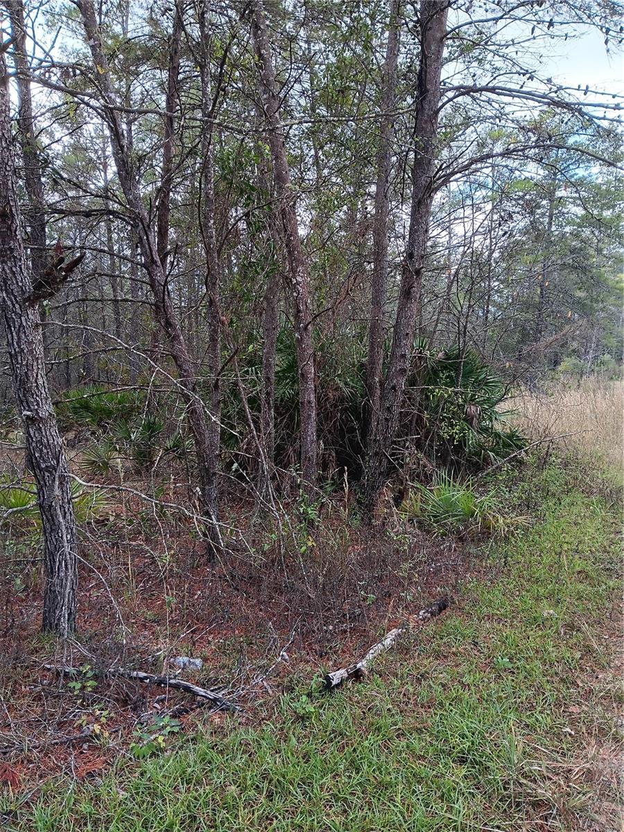 5144 W OSMOND LN Property Photo 1