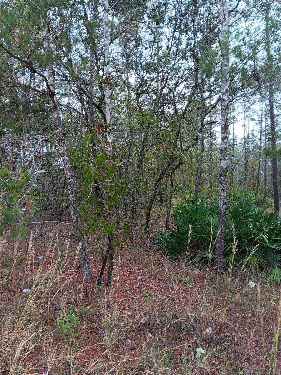 5144 W Osmond Ln Property Photo 2