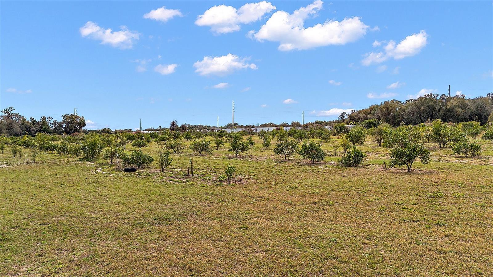 G5078585 Property Photo 6