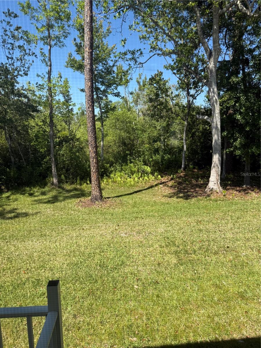 32676 Oak Park Dr Property Photo 46