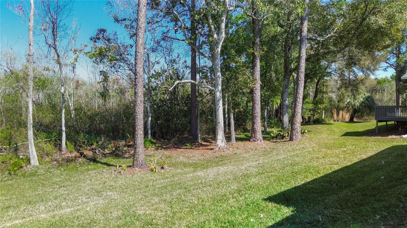 32676 Oak Park Dr Property Photo 47