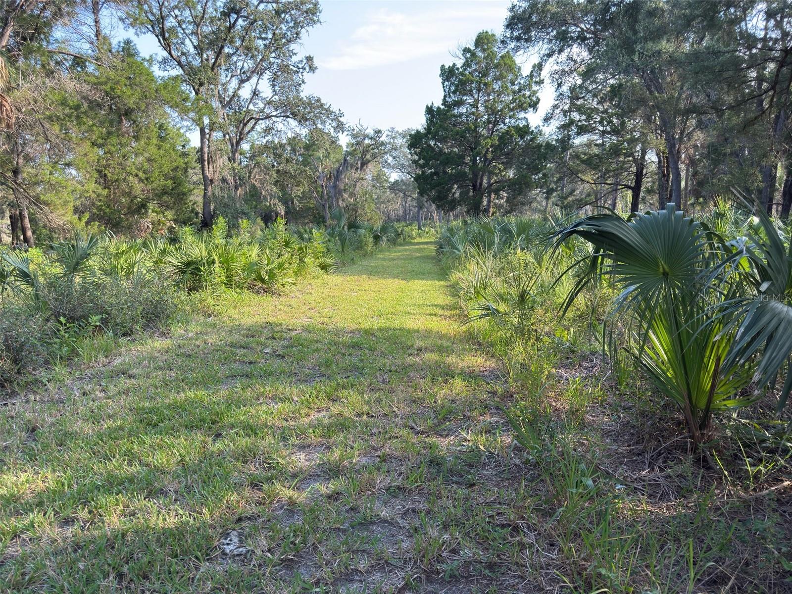 11684 W Sunnybrook Ct Property Photo 31