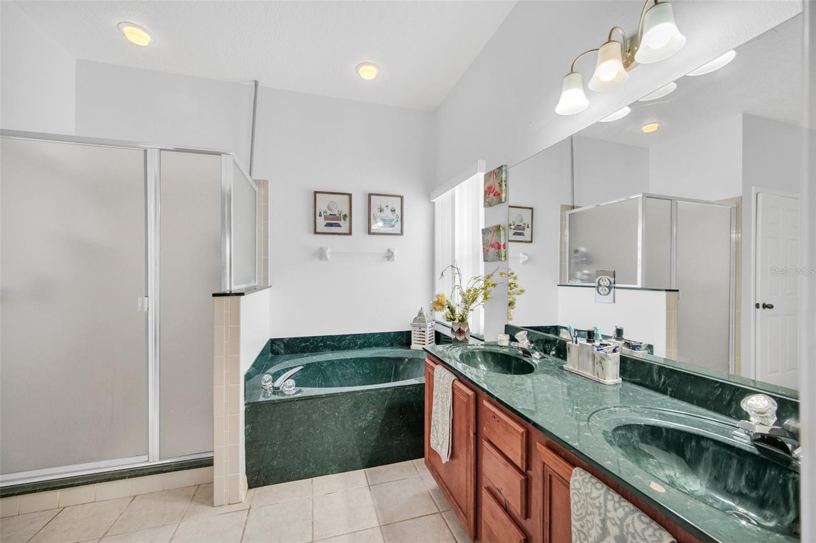 541 Castlemain Cir Property Photo 17