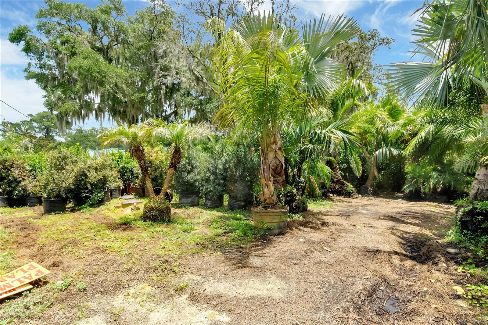 8440 County Road 48 Property Photo 17