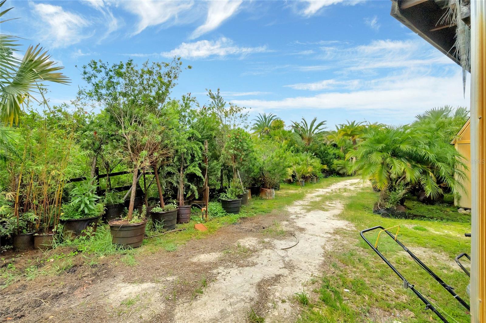8440 County Road 48 Property Photo 18