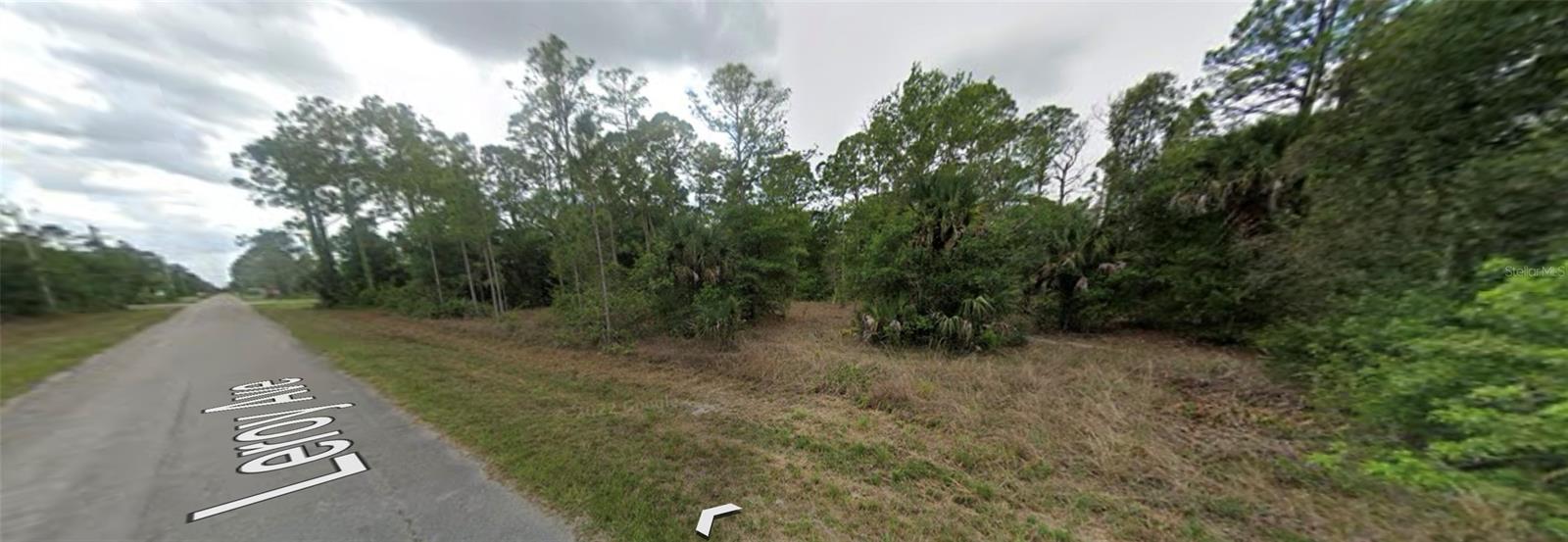 1007 LEROY AVE Property Photo 1