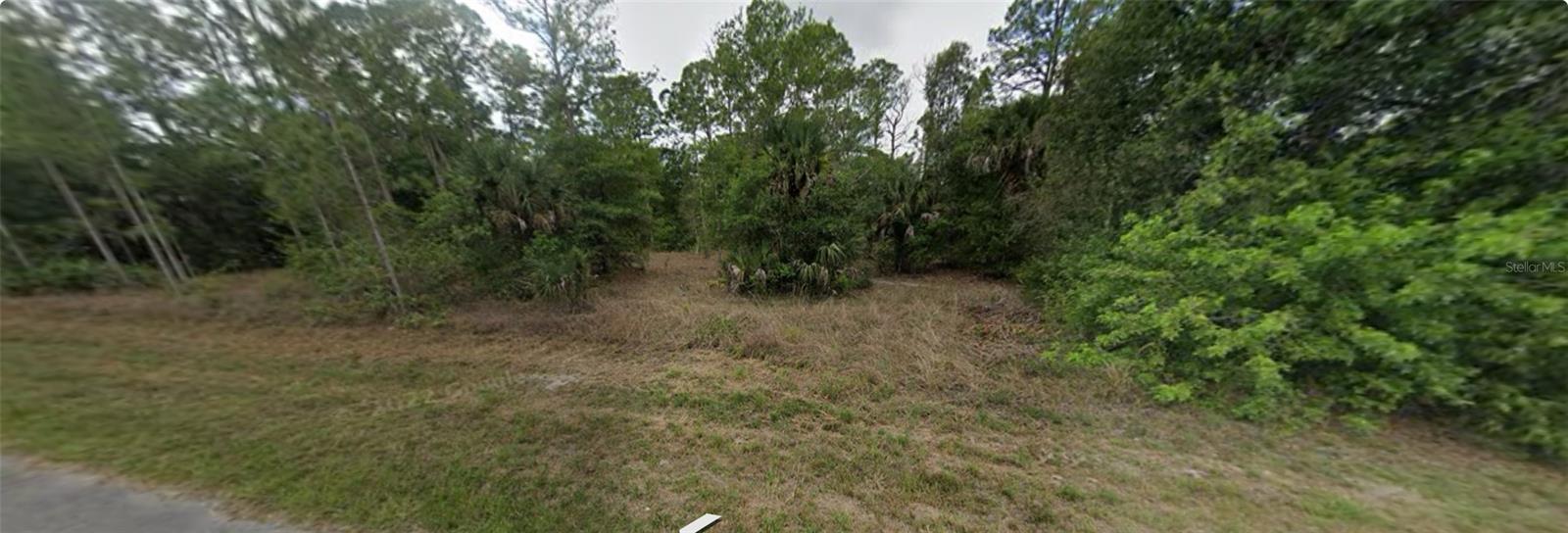 1007 Leroy Ave Property Photo 2