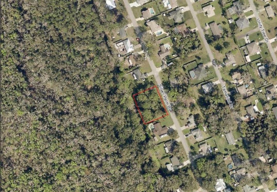 Silver Palm Dr Property Photo 4