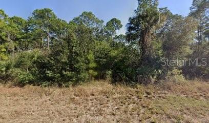 717 Brooklyn Loop Property Photo 1