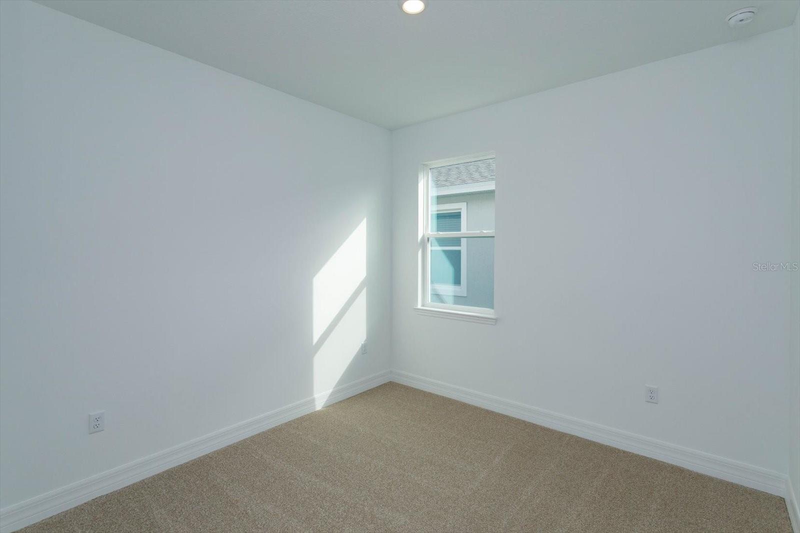 5807 Wallis Ln Property Photo 20