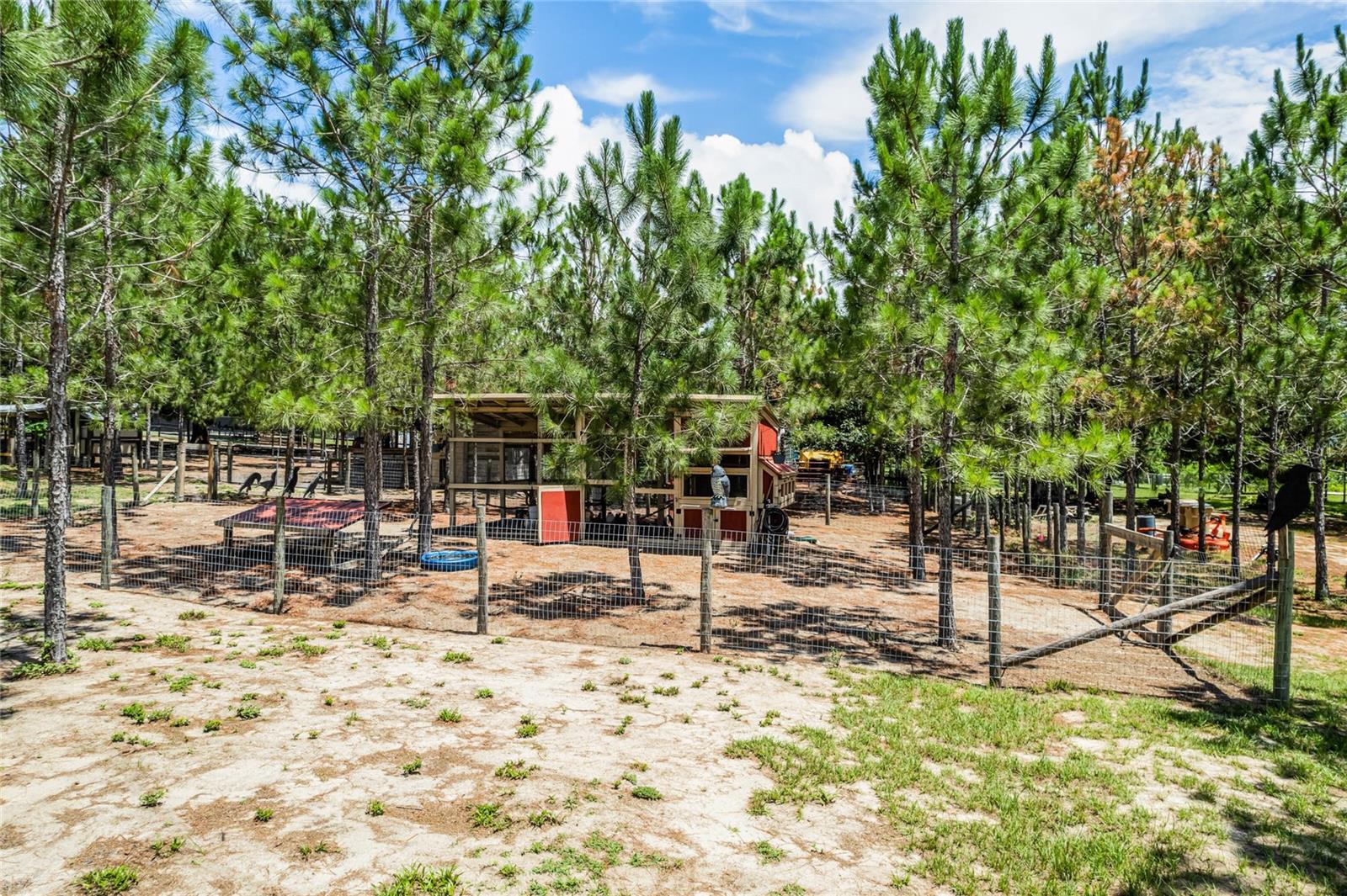 13910 Max Hooks Rd Property Photo 53