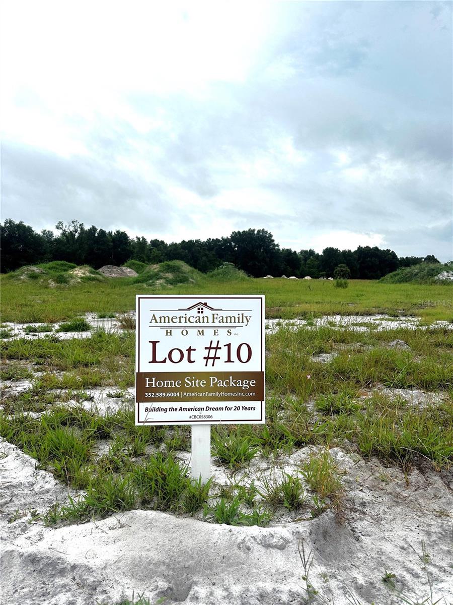 38517 Wooded Meadow Dr Property Photo 1