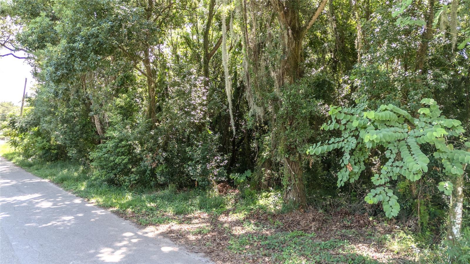 3rd St Property Photo 3