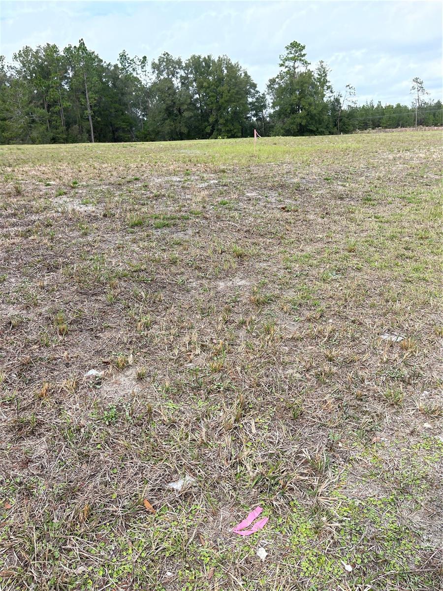 00 Ne 108th Ct Property Photo 8