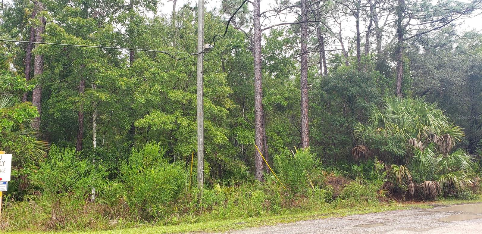 1179 N TESSA TER Property Photo 1