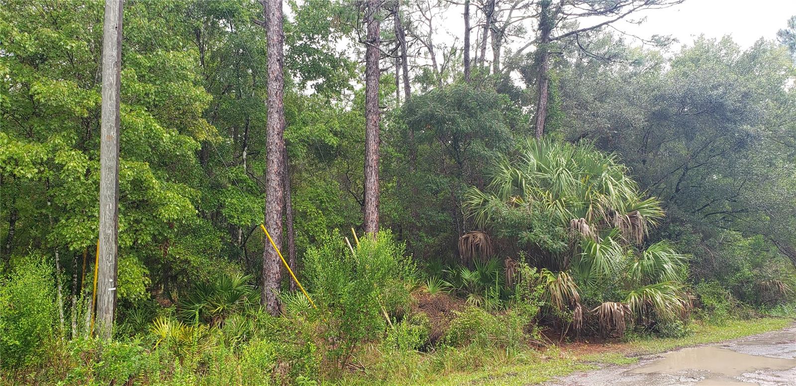 1179 N Tessa Ter Property Photo 2