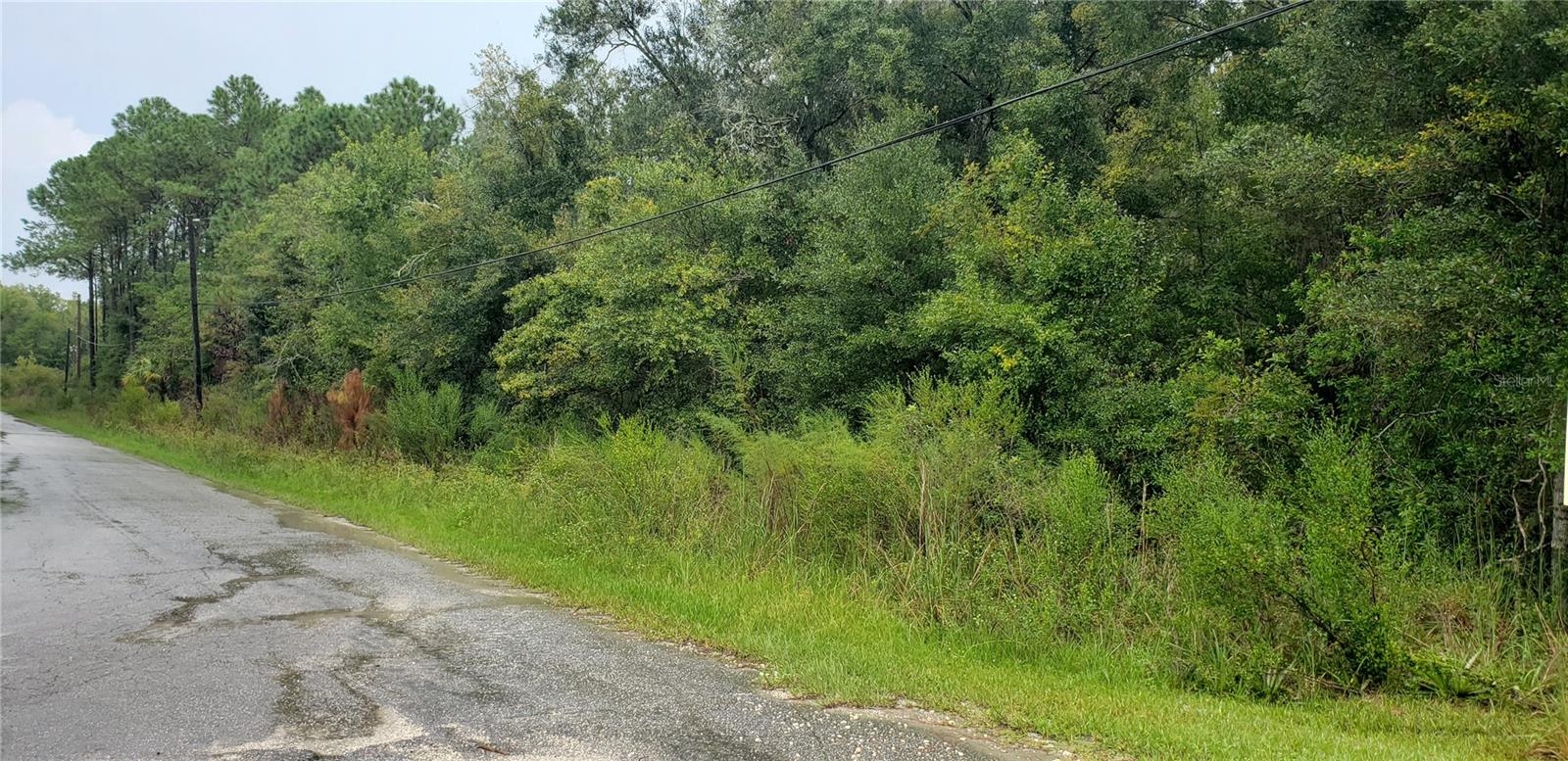 1179 N Tessa Ter Property Photo 3