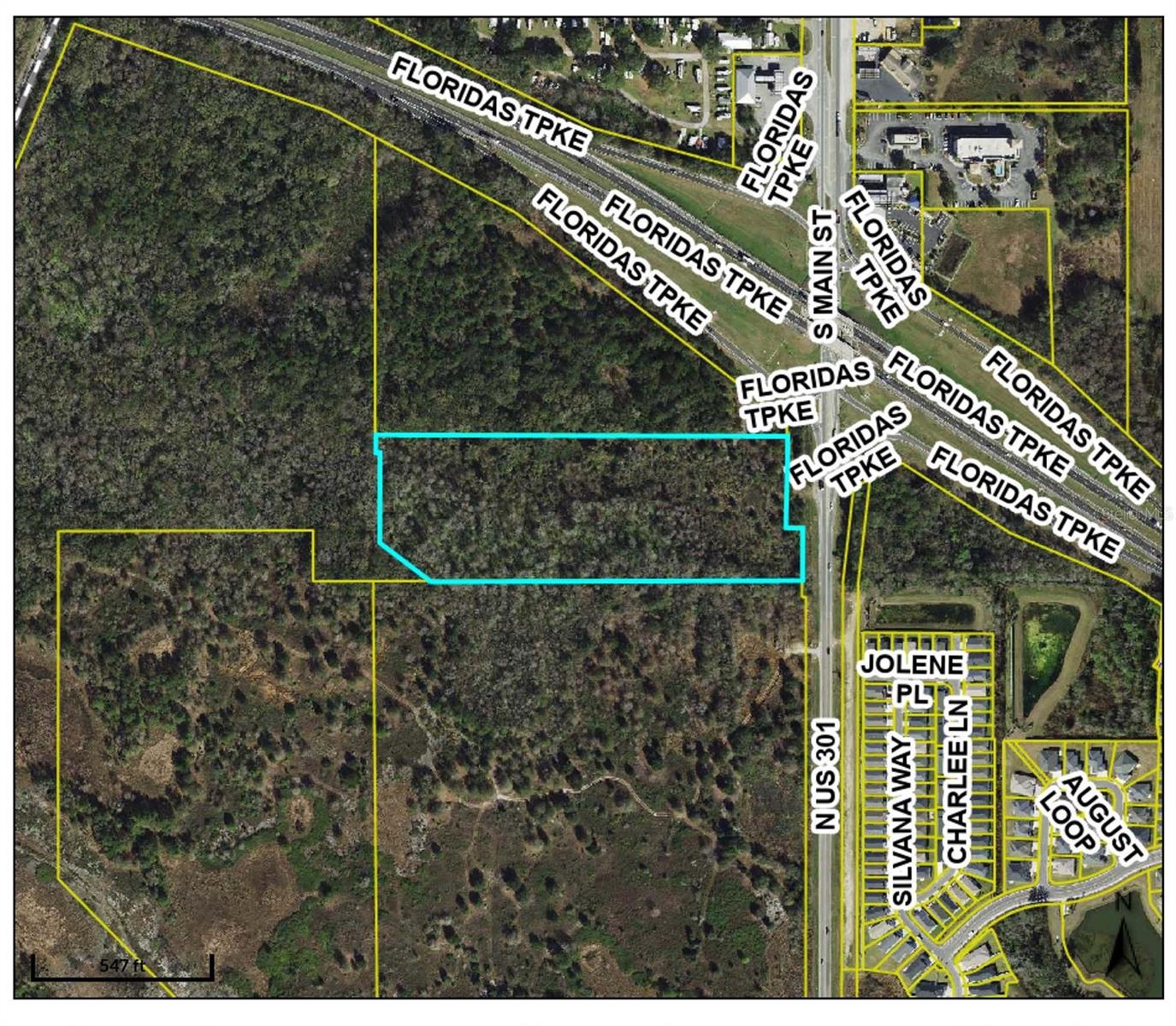 Hwy 301 / Main St Property Photo 2