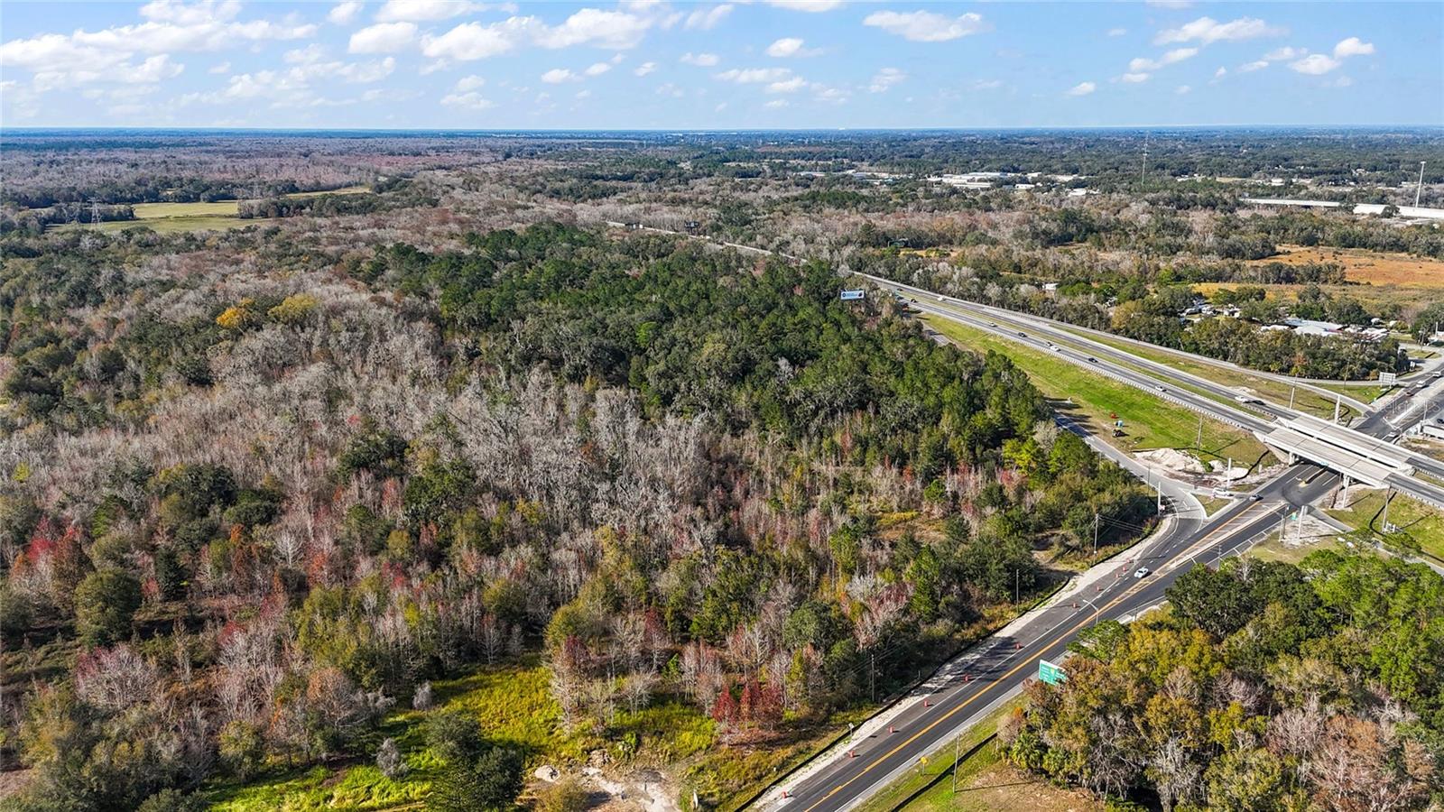 Hwy 301 / Main St Property Photo 3