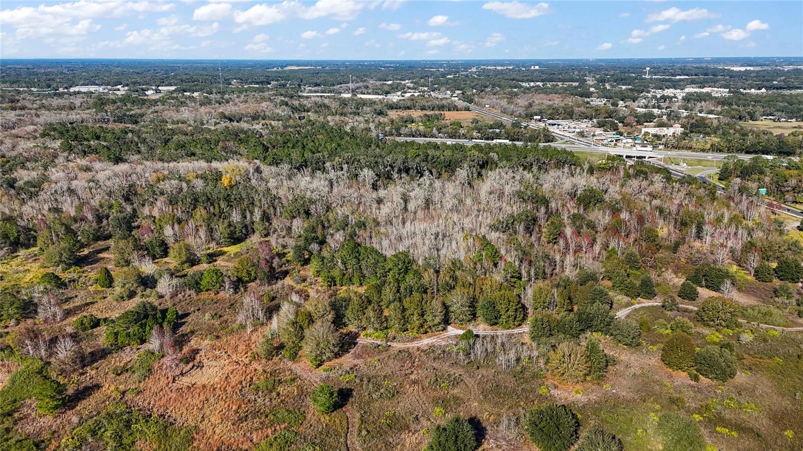 Hwy 301 / Main St Property Photo 14