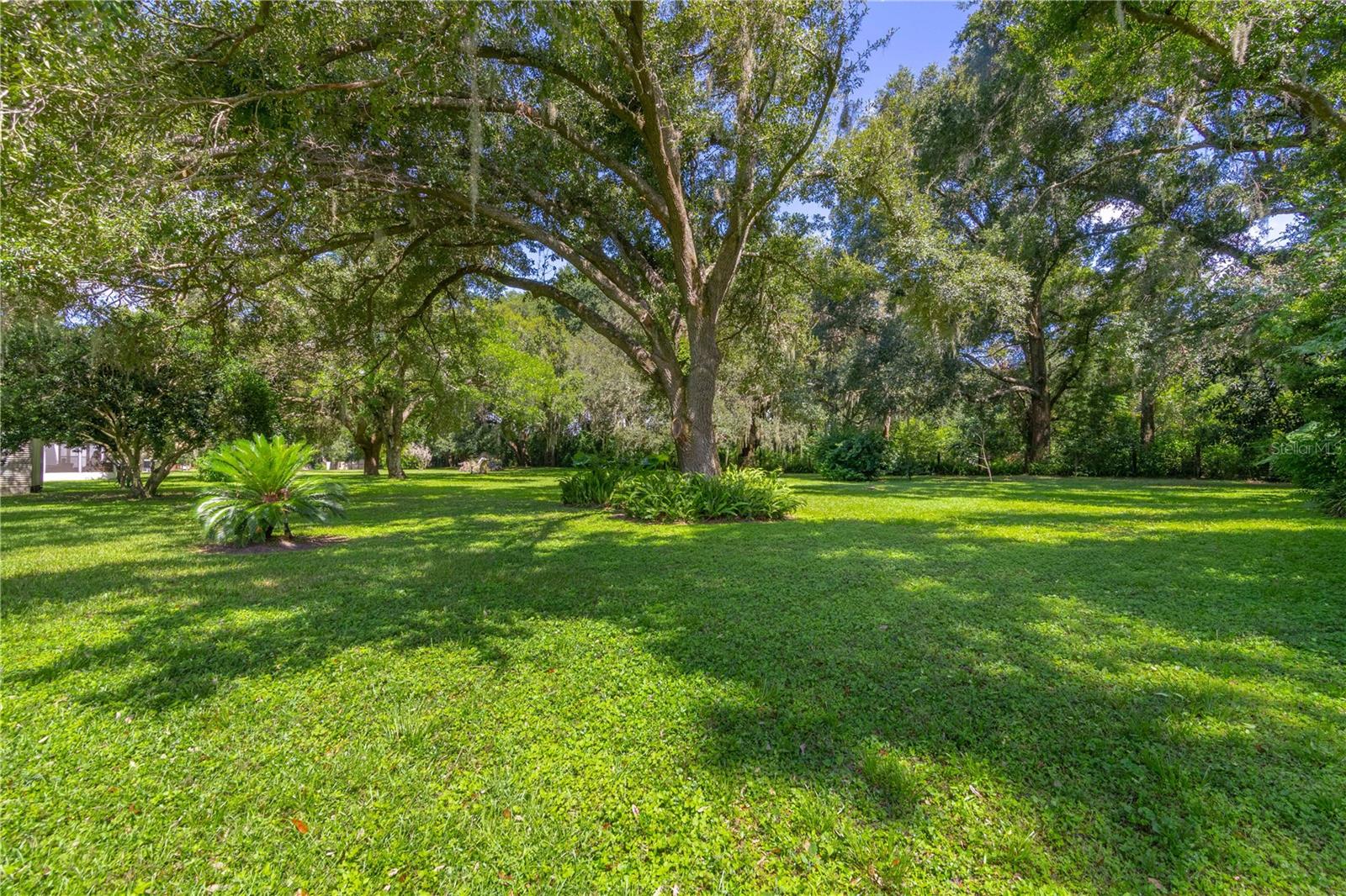 3778 E C-466 Rd Property Photo 11